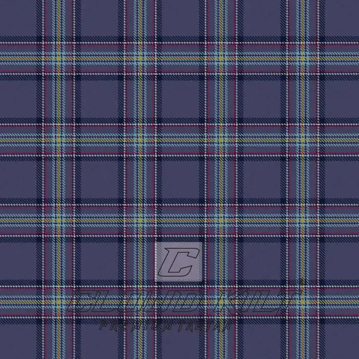Blue Toon Premium Tartan Kilt