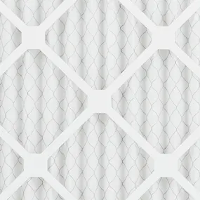 Flanders NaturalAire Standard Air Filter, MERV 8, 20" x 25" x 1"