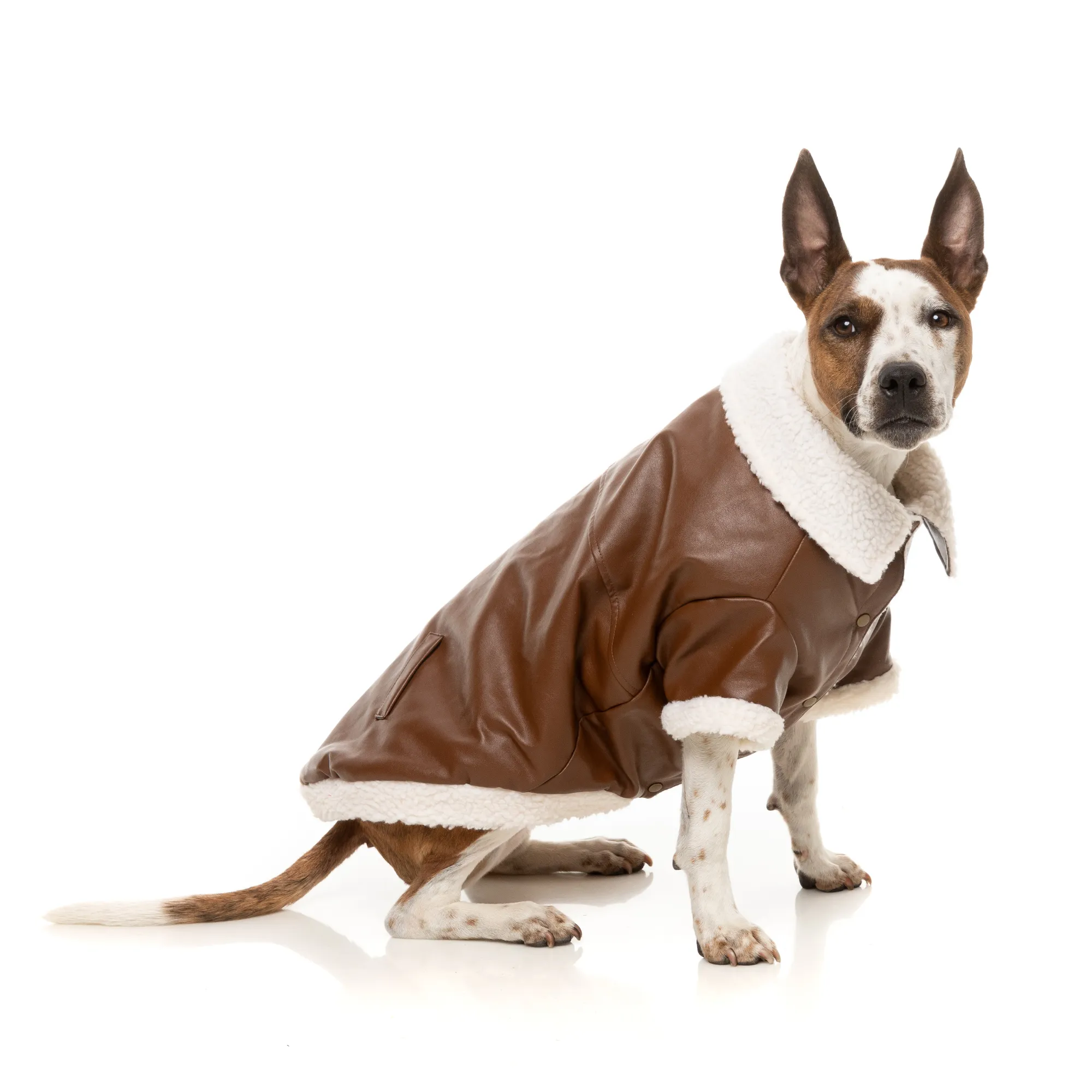 FuzzYard Ava Dog Jacket Brown