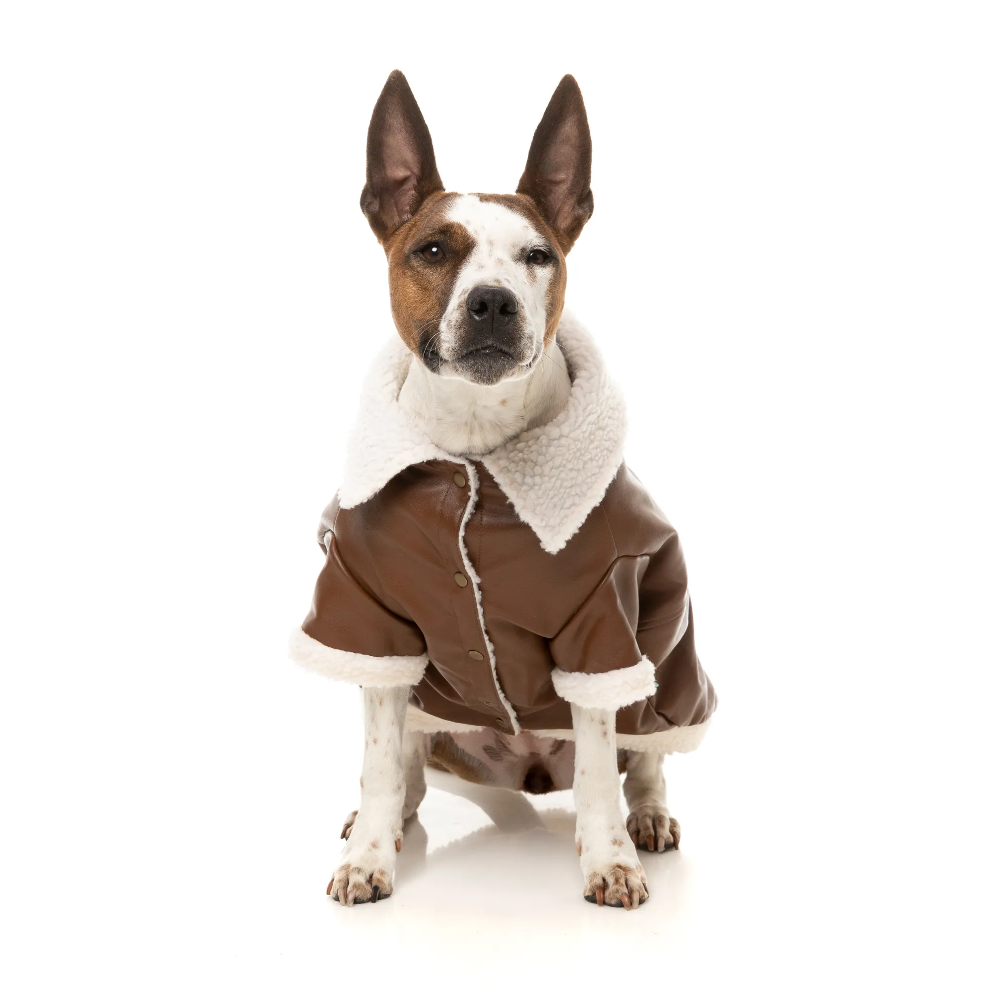 FuzzYard Ava Dog Jacket Brown