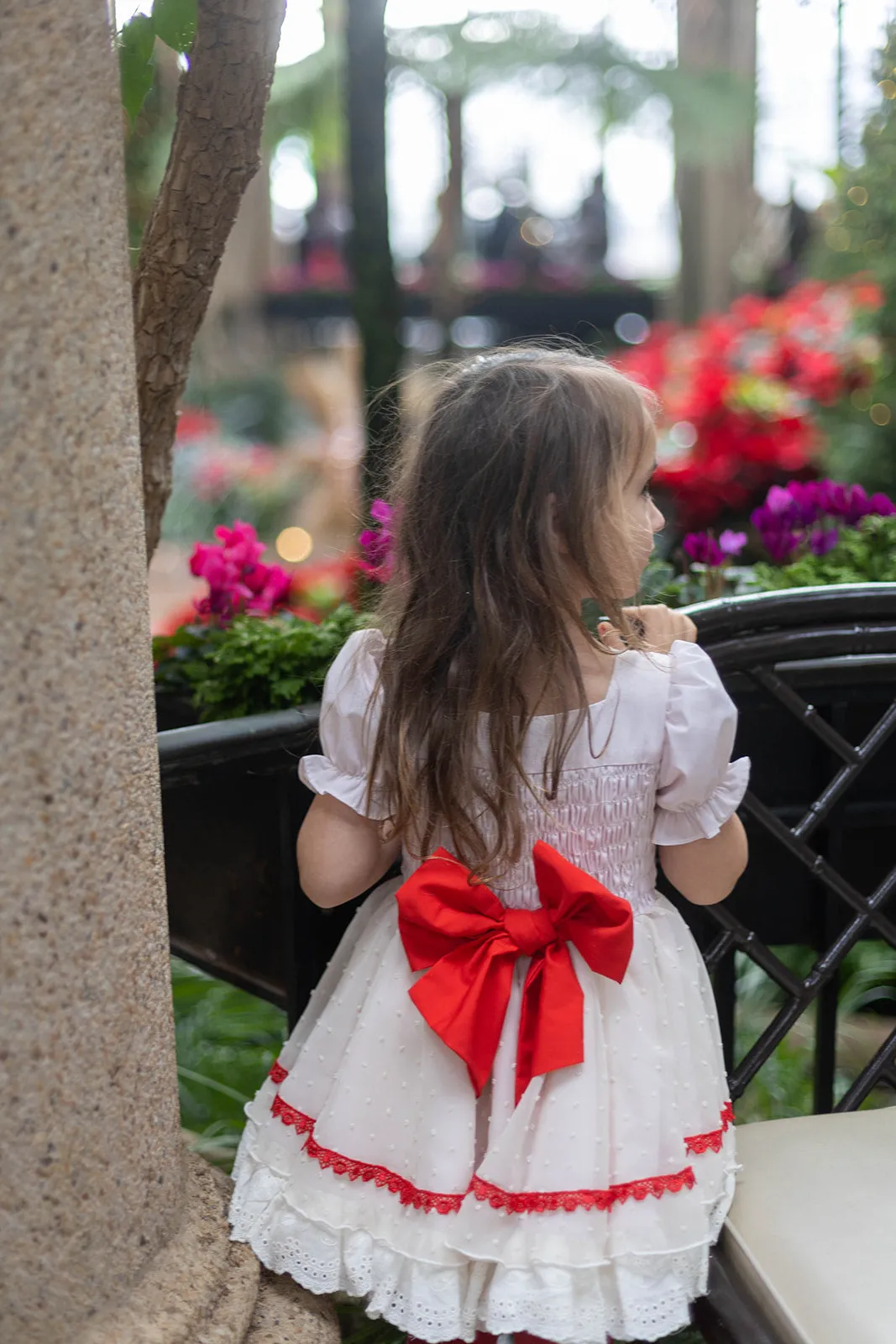 Holiday Petti Skirt Dress