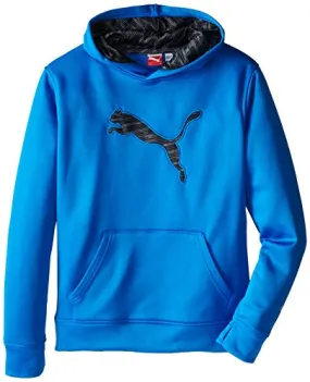 PUMA Boys' Big Cat Hoodie (Little Kid/Big Kid), Sky Blue, X-Large