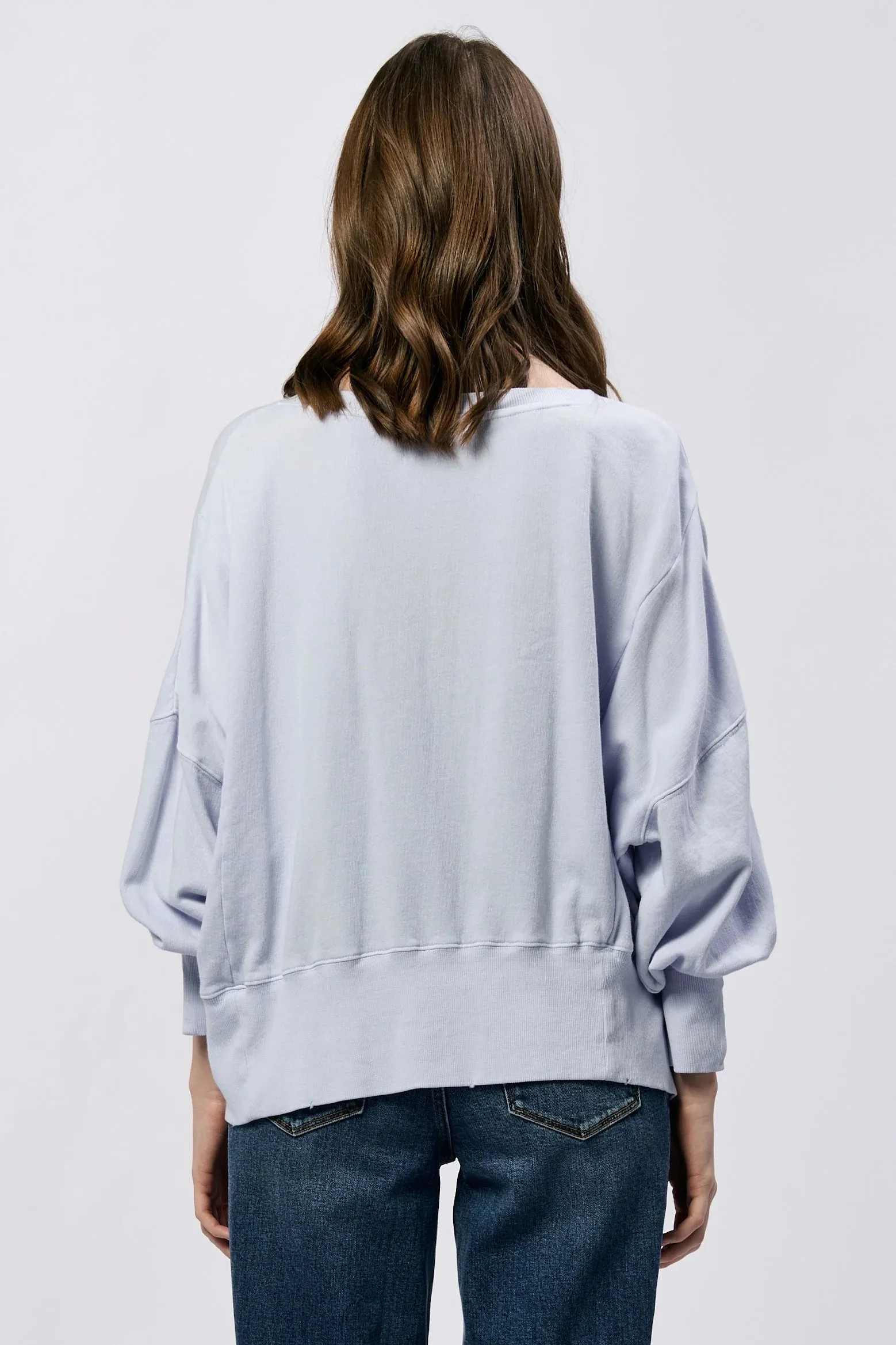 Trenton L/S SweatShirt-Skyway