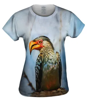 Yellow Billed Hornbill