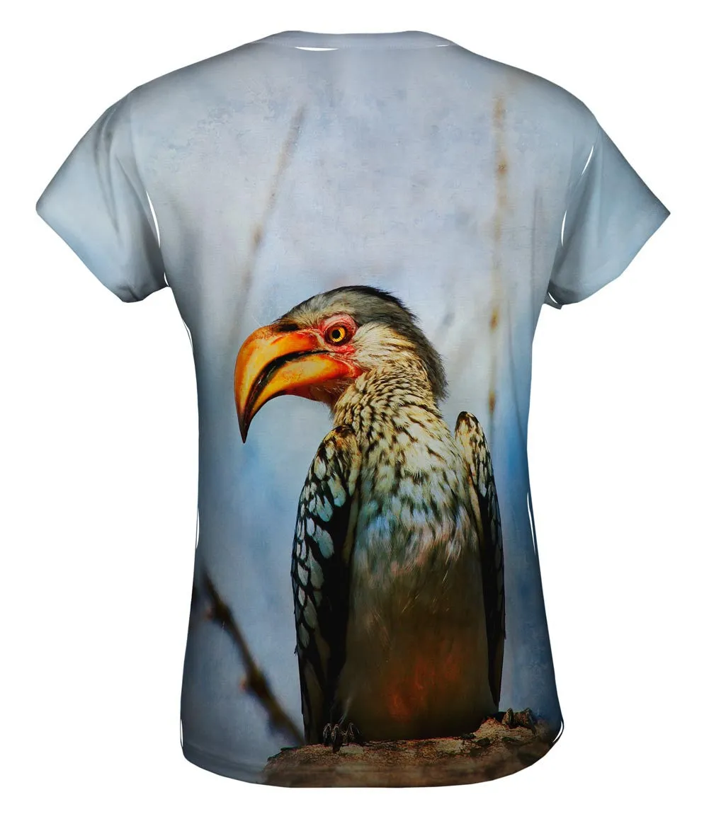 Yellow Billed Hornbill