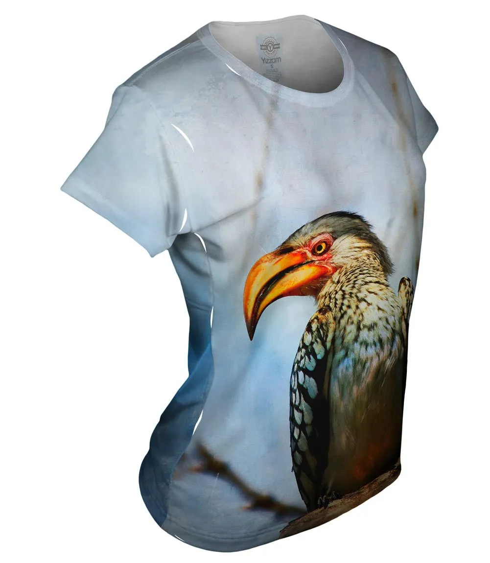 Yellow Billed Hornbill